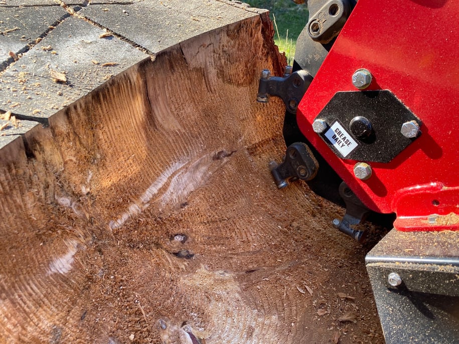 How to Properly Grind a Stump